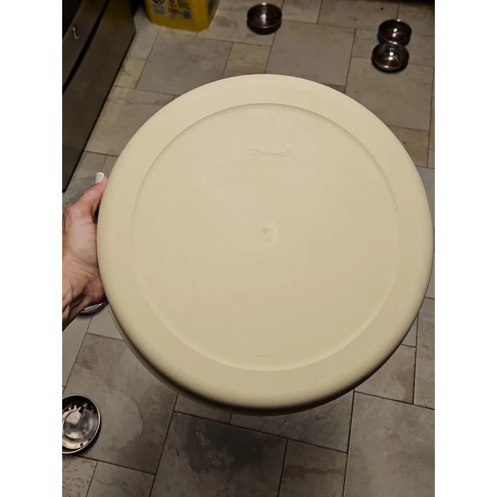 Tupperware Divided Serving Tray 1665-3 Almond With Lid & Dip Bowl 2 pc set